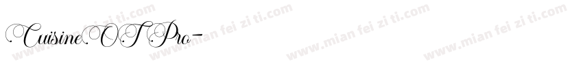 CuisineOT Pro字体转换